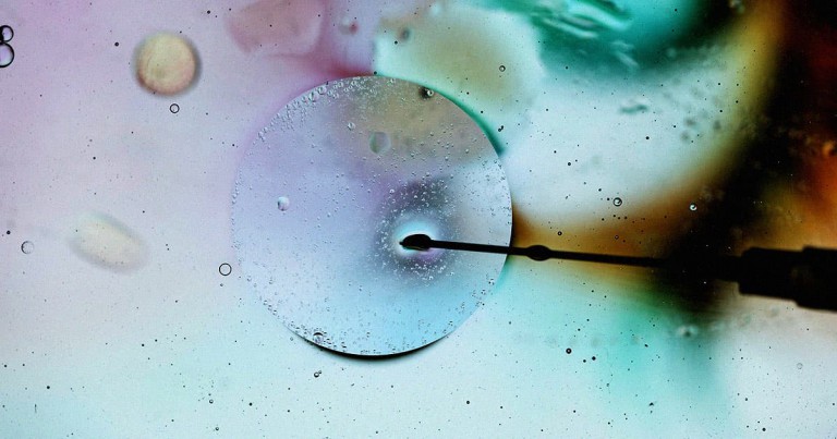 The World's First-Ever "Synthetic Embryo" Is Already Causing Controversy