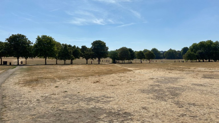 This website uses cookies