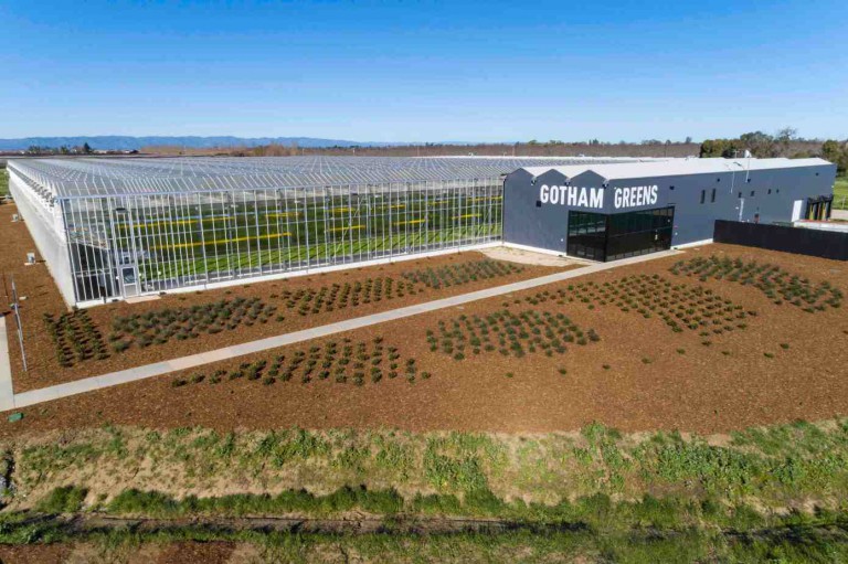 Gotham Greens just raised $310M to expand its greenhouses nationwide