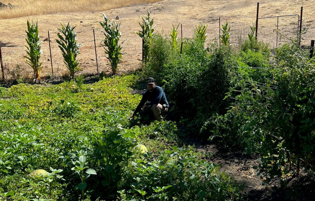 The Winery Garden That Feeds Migrant Vineyard Workers