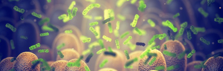 Look: This tiny robot could change medicine forever