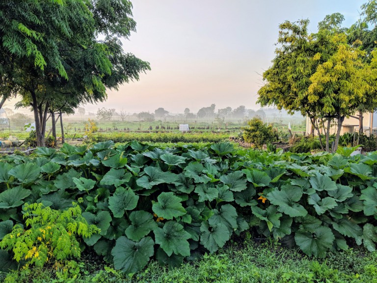 Stop Making Farmers Pay to Fight Climate Change
