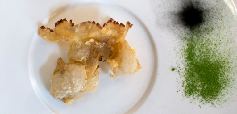 Something’s Jellyfishy in the State of Italy