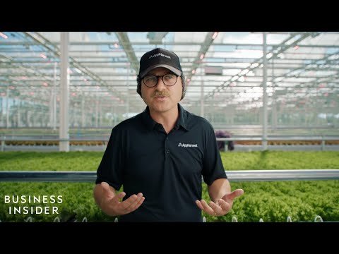 Business Insider visits AppHarvest and talks advanced tech for agriculture
