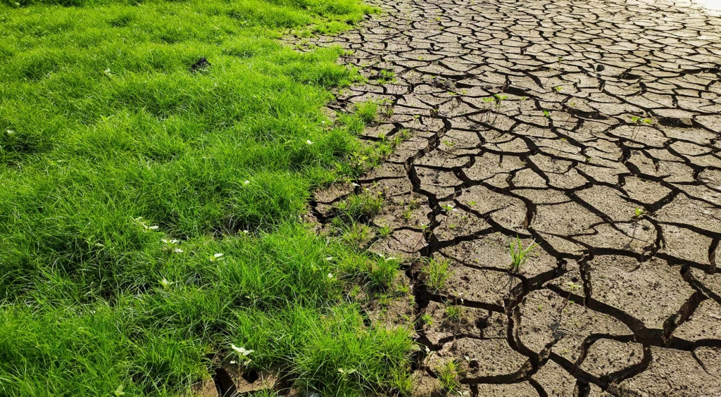 Climate tipping points: retreating from the brink and accelerating positive change