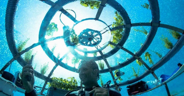 Divers Growing Veggies in Underwater Greenhouses