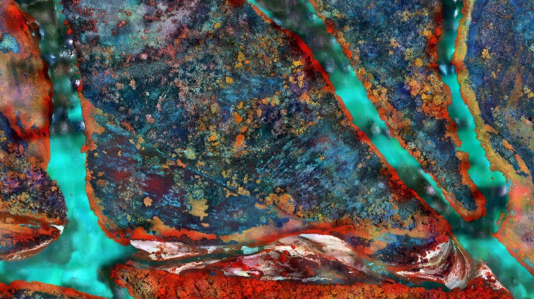 Opinion: Through an Artist’s Eye, Scientific Tools Help Tell Vital Stories