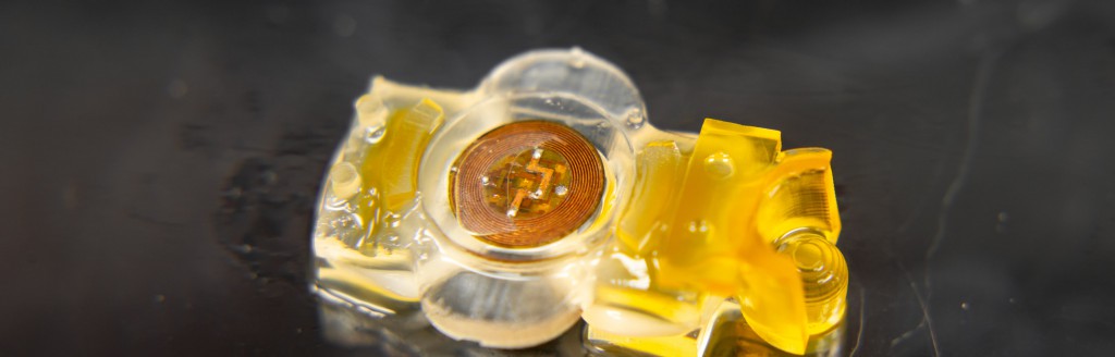 This biohybrid robot walks using lab-grown mouse muscles