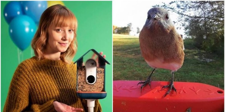 Someone invented the 'Pokémon Go' of bird feeders. It sold out in minutes.