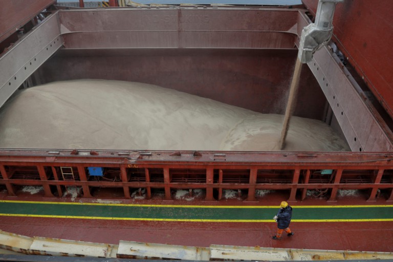 Ukrainian grain shipments drop as officials blame Russia for inspection backlog