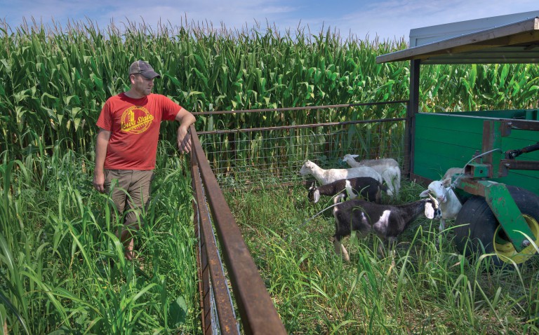 Could This Mobile, Solar-Powered Livestock Barn Reshape the Corn Belt?
