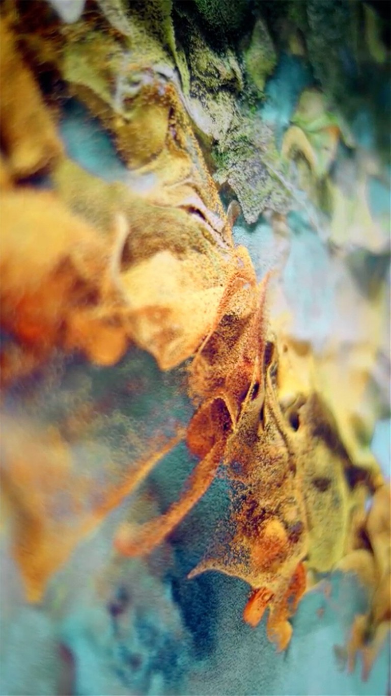 dynamic digital art traverses the physical realm in venus over manhattan's latest exhibition