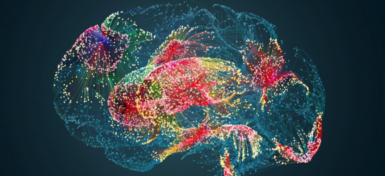 Will Brain Organoids Soon Become Biocomputers?