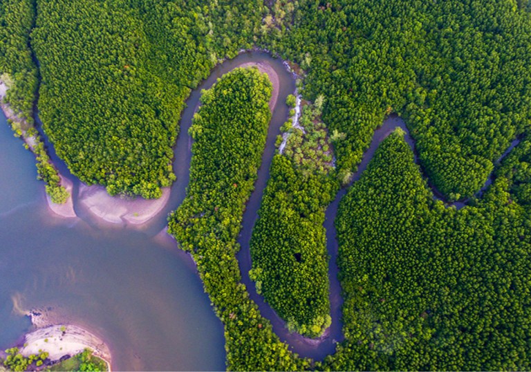 Garbage to Guts: The Slow-Churn of Plastic Waste