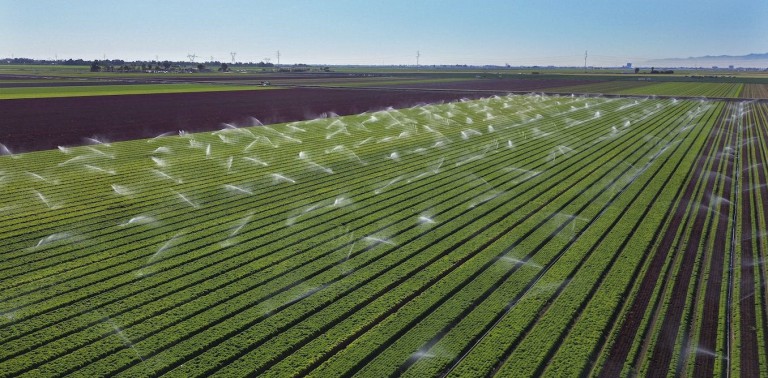 The Colorado River drought crisis: 5 essential reads