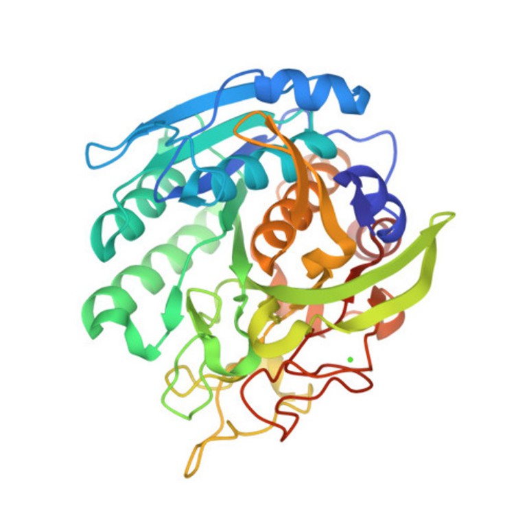 Taming the immune response to gluten to treat celiac disease