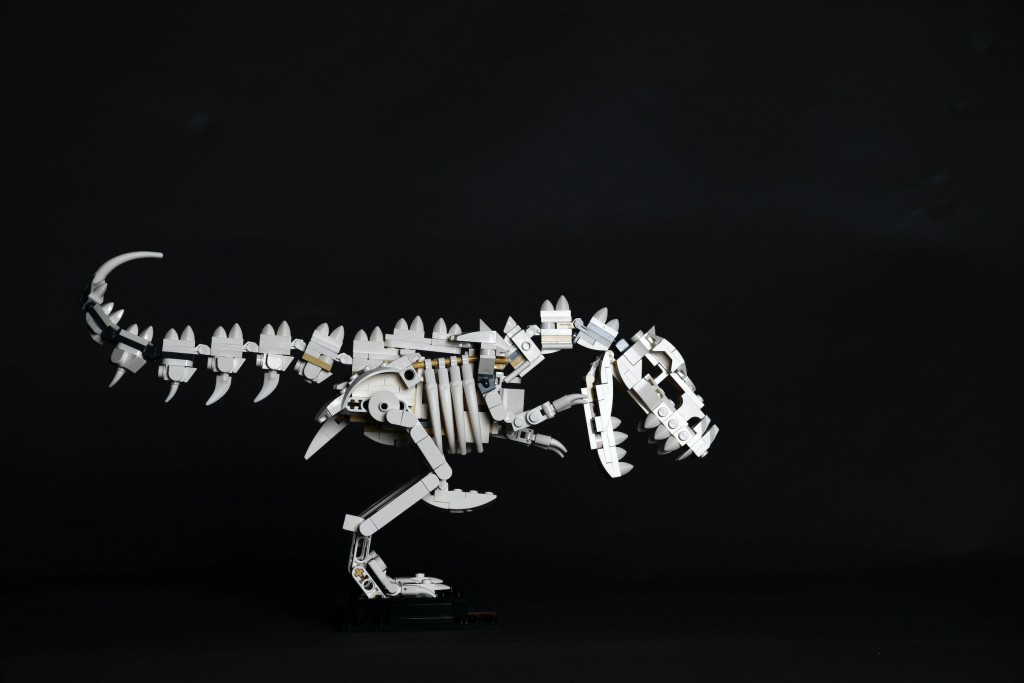 AI leaders warn about ‘risk of extinction’ in open letter