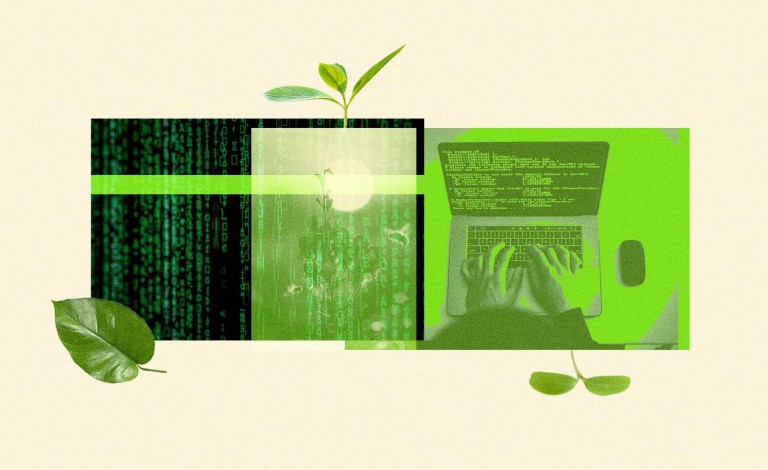 How coders can help save the planet