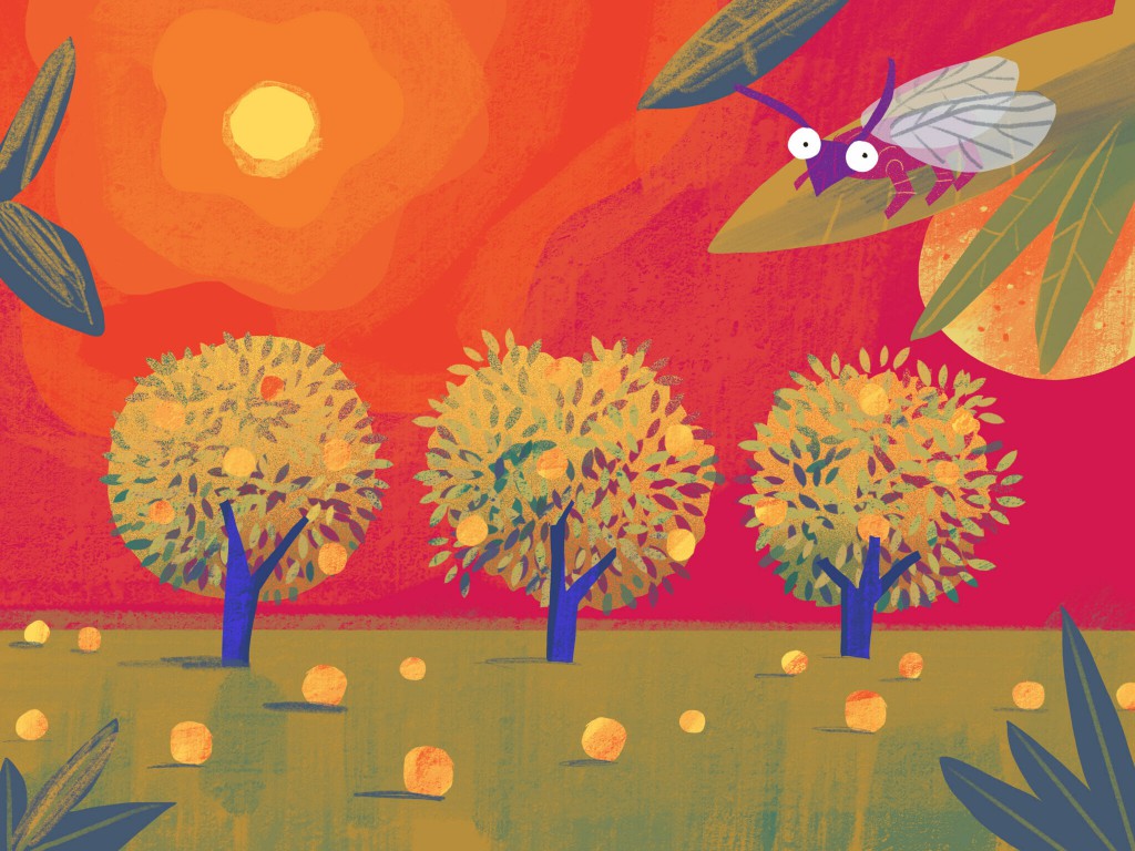 There’s No Cure for Citrus Greening. California Growers Have No Choice But to Keep Going