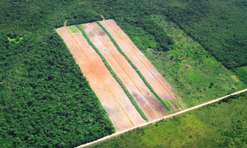 How to Manage the Global Land Squeeze? Produce, Protect, Reduce, Restore