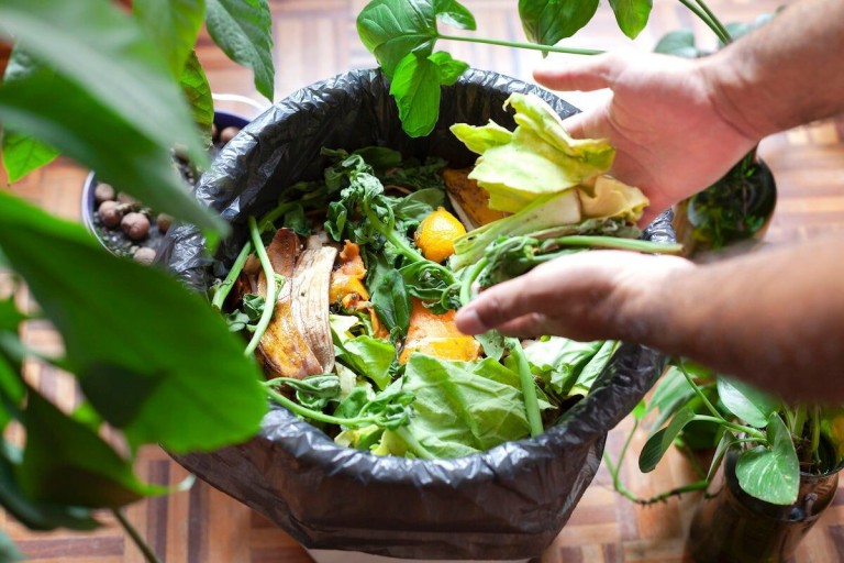 Composting 101: Everything You Need to Know