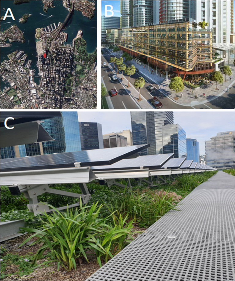 A green roof or rooftop solar? You can combine them in a biosolar roof, boosting both biodiversity and power output