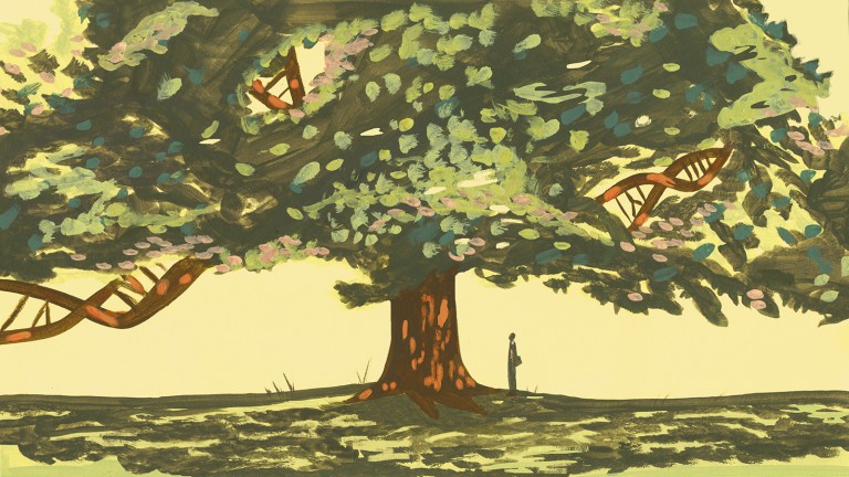 The American chestnut tree is coming back. Who is it for?