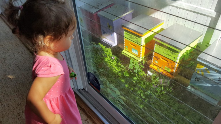 Interior Department Announces More Than $40.6 Million for Collaborative Efforts to Conserve America’s Most Imperiled Species