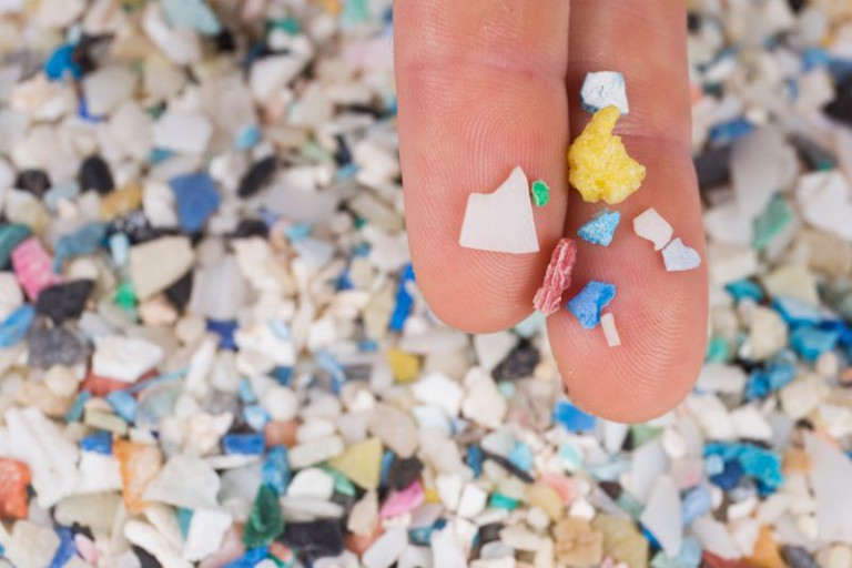 How Microplastics In The Brain Could Have The Power To Change Our Behavior