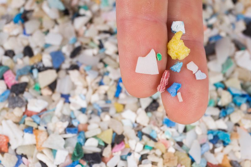 How Microplastics In The Brain Could Have The Power To Change Our Behavior
