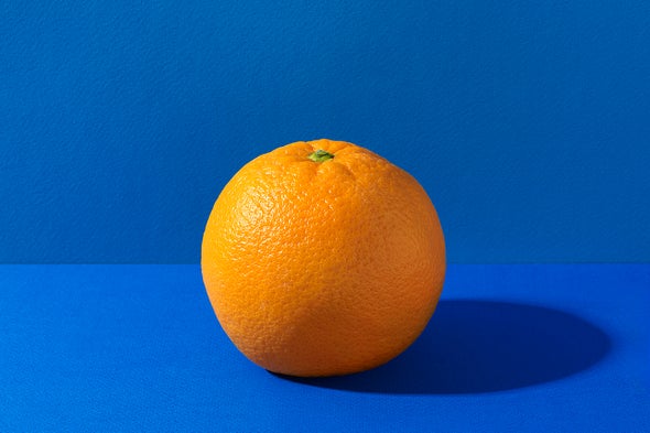 We Finally Know Where Oranges and Lemons Come From