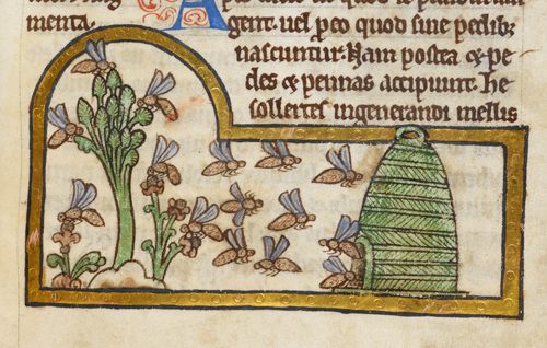 The Magic Spells That Herded Medieval Bees