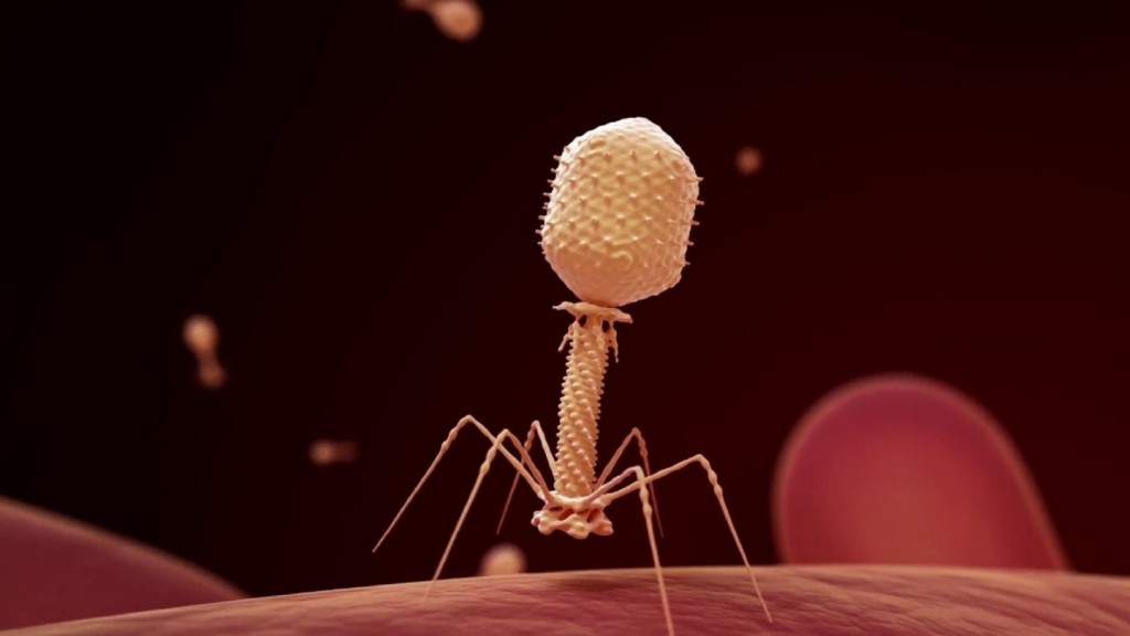 Viruses could be an unlikely ally in battling antibiotic-resistant bacteria