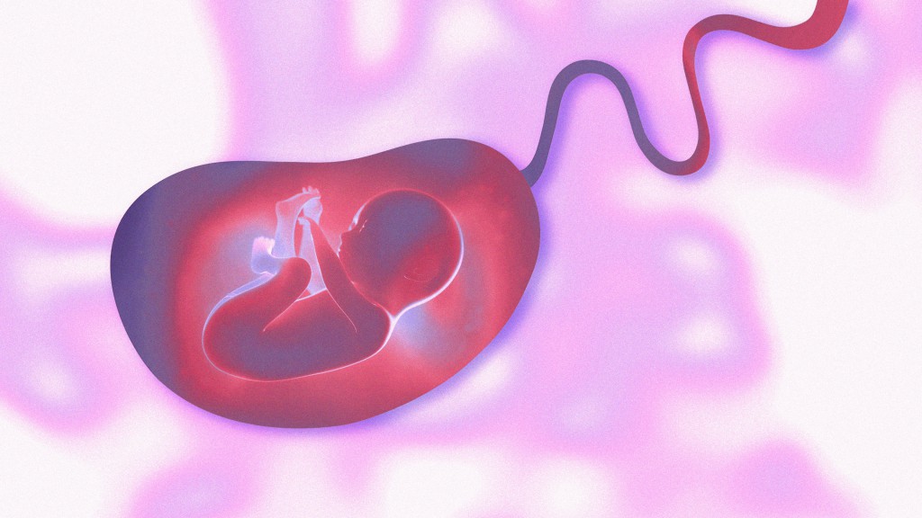 Artificial wombs for preemies move closer to human trials