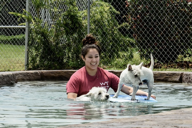 Waggin’ Tails Pet Ranch Offers a One-of-a-Kind Experience