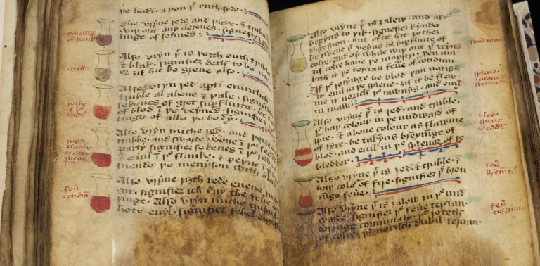 Modern medicine has its scientific roots in the Middle Ages − how the logic of vulture brain remedies and bloodletting lives on today