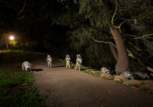 2024 BigPicture Natural World Photography Competition Opens