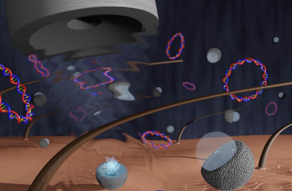 Ultrasound innovations enable pain-free vaccination, monitor muscle dynamics in real time