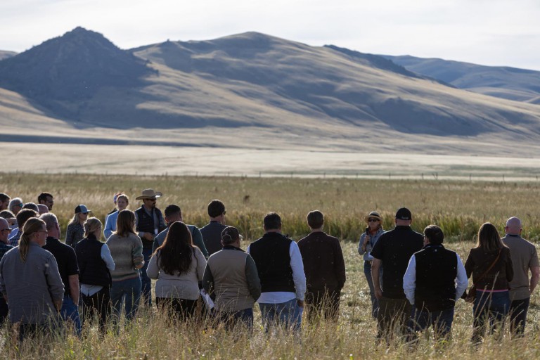 Grass-fed Beef at Scale: Montana’s Matador Ranch Partners with Grass Fed Foods