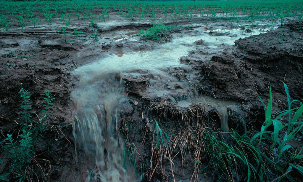 Ask a Scientist: Fighting Big Ag Pollution with Maps and Math