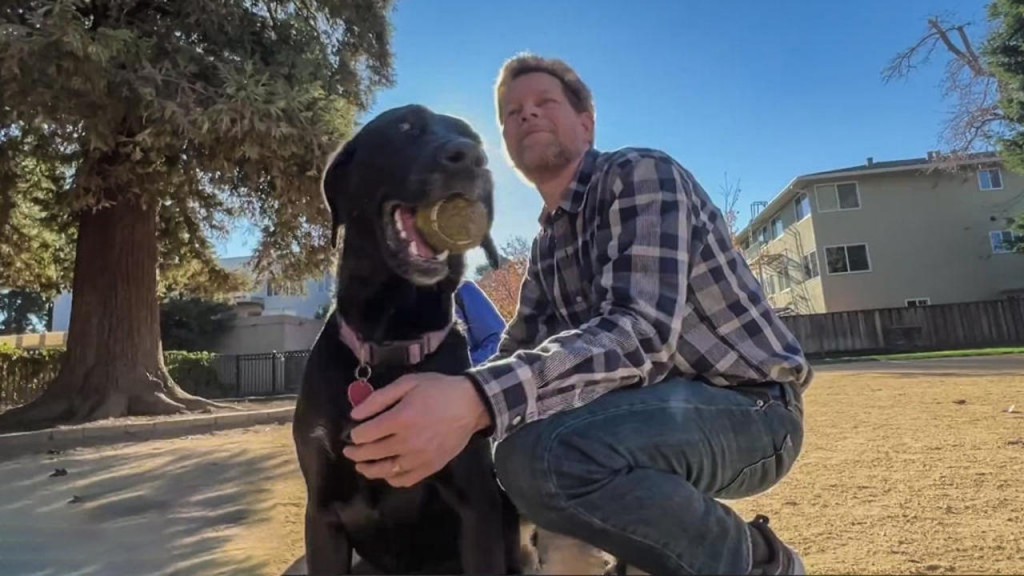 FDA approves medication that extends the lifespan of dogs