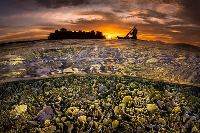 One Great Shot: Paddling in Paradise