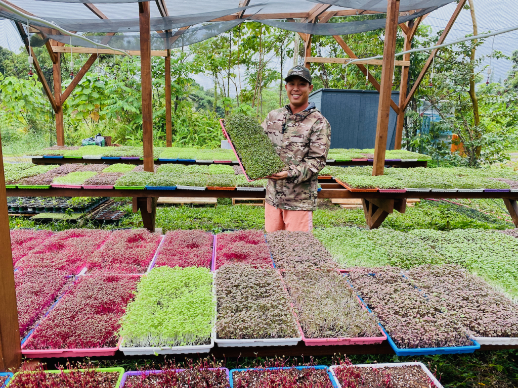 Cultivating Profits in a Compact Crop