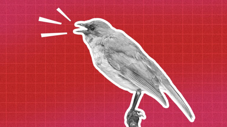 These animals went extinct in 2023