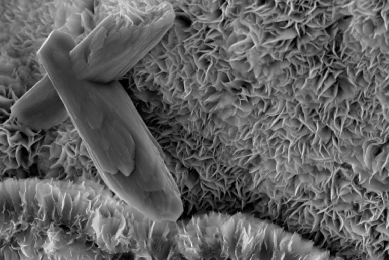 Weathering and ocean burial of rocks could have triggered Earth’s ice ages