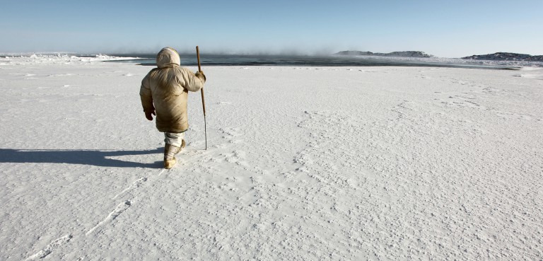 On this Social Network, Sea Ice, Traditional Foods, and Wildlife Are Always Trending