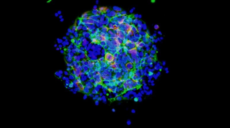 Cancer Research in 3D