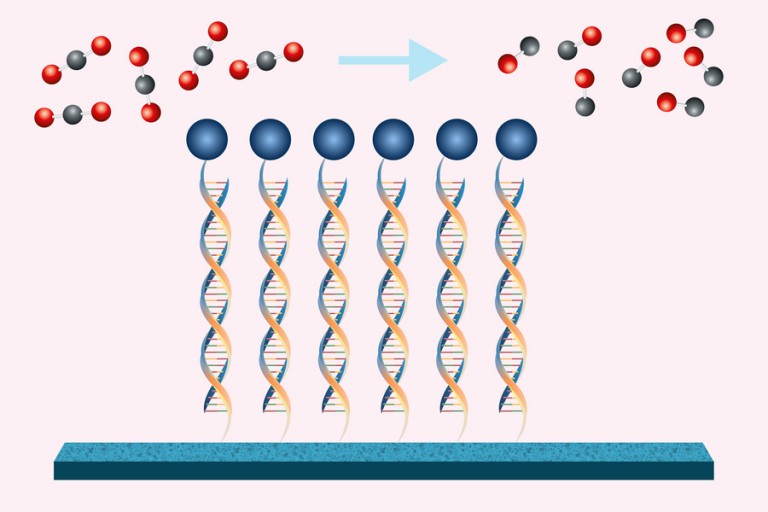Engineers find a new way to convert carbon dioxide into useful products