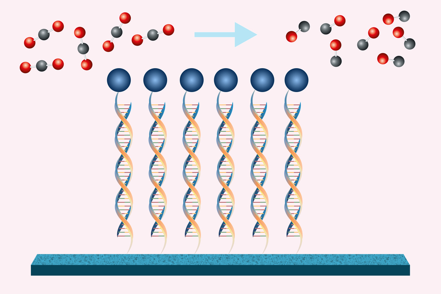 Engineers find a new way to convert carbon dioxide into useful products