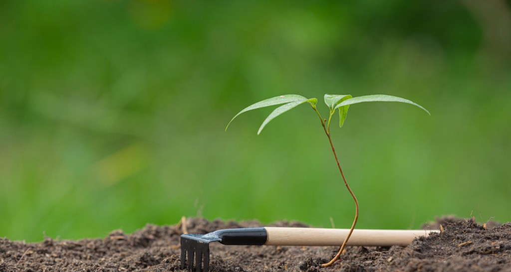 27 Emerging Industries and Promising Startup Opportunities